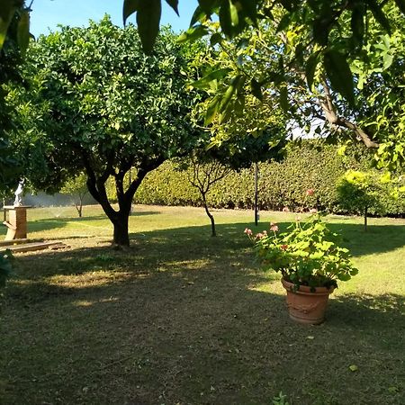 Da Ninnilla Holiday Home Scafati Εξωτερικό φωτογραφία