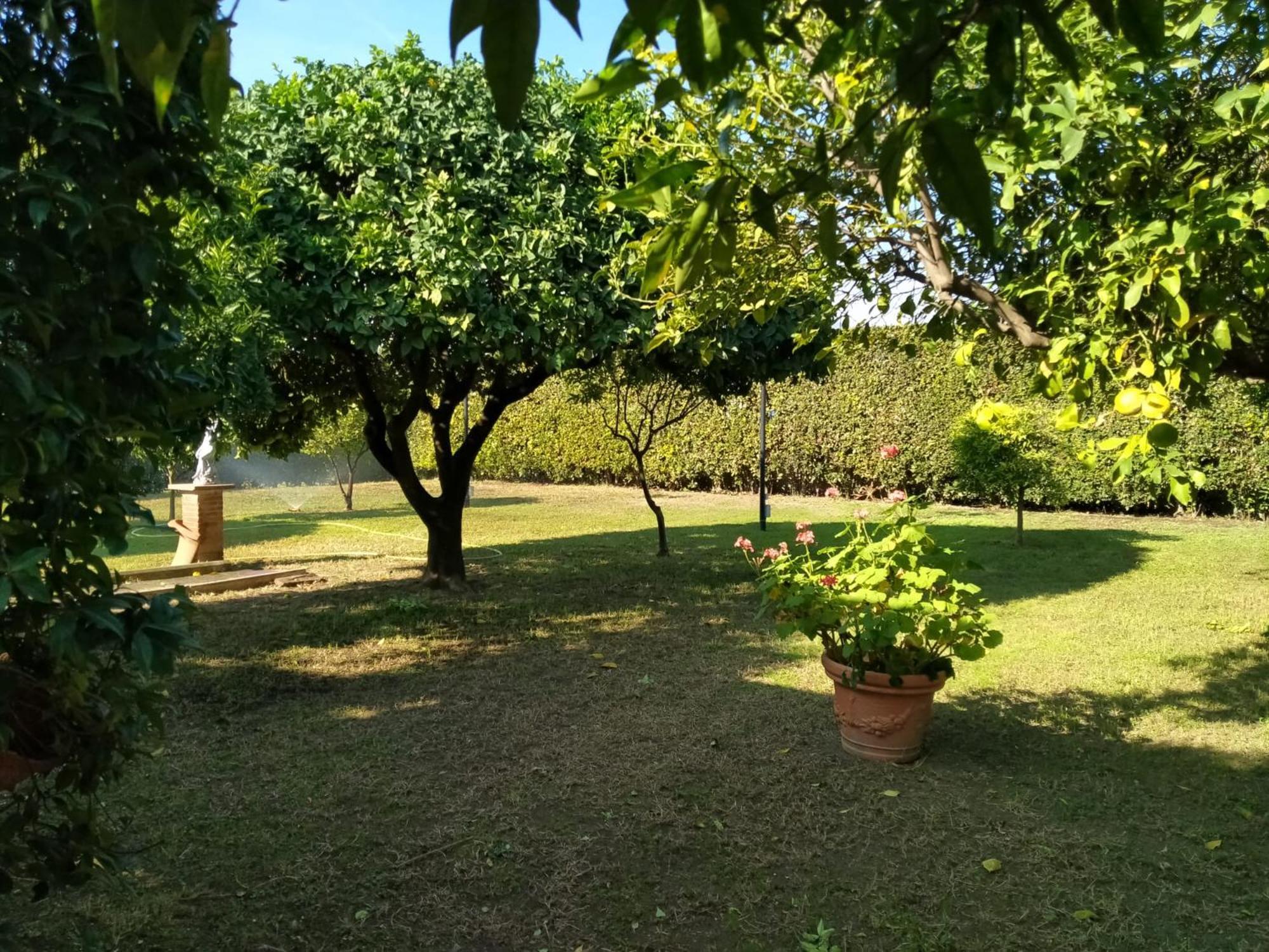 Da Ninnilla Holiday Home Scafati Εξωτερικό φωτογραφία